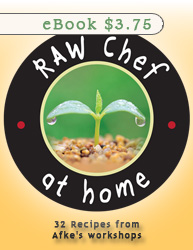 Raw Chef at Home ~ e-Book